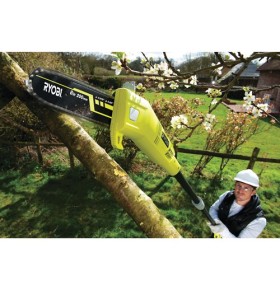 Potatore Estensibile 750W